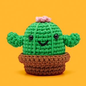 Cactus Crochet Kit | Learn to Crochet with The Woobles