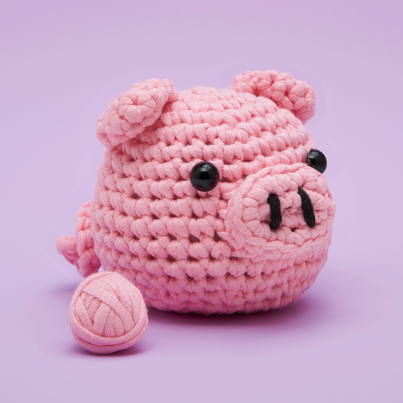 Pig Crochet Kit for Beginners | The Woobles