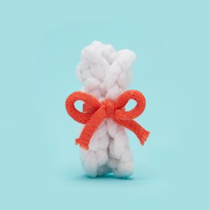 Tiny Rolled Diploma Kit | The Woobles
