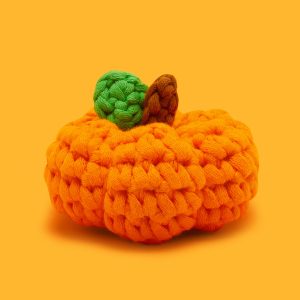 Tiny Pumpkin Crochet Kit | The Woobles